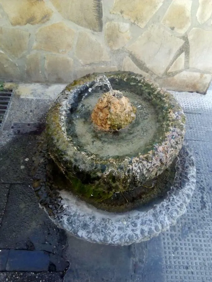 Casa Rural Majaceite Guest House El Bosque